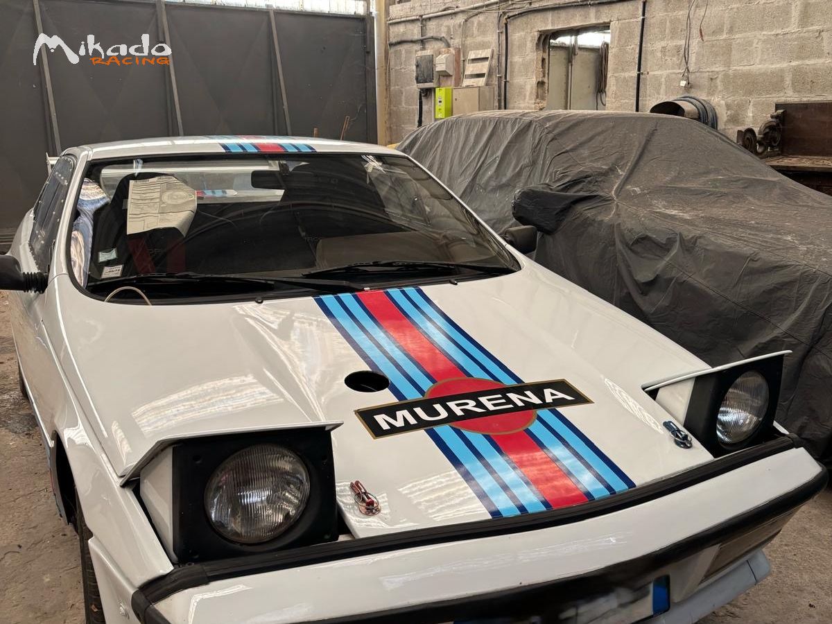 Talbot murena – photo 3 sur 4