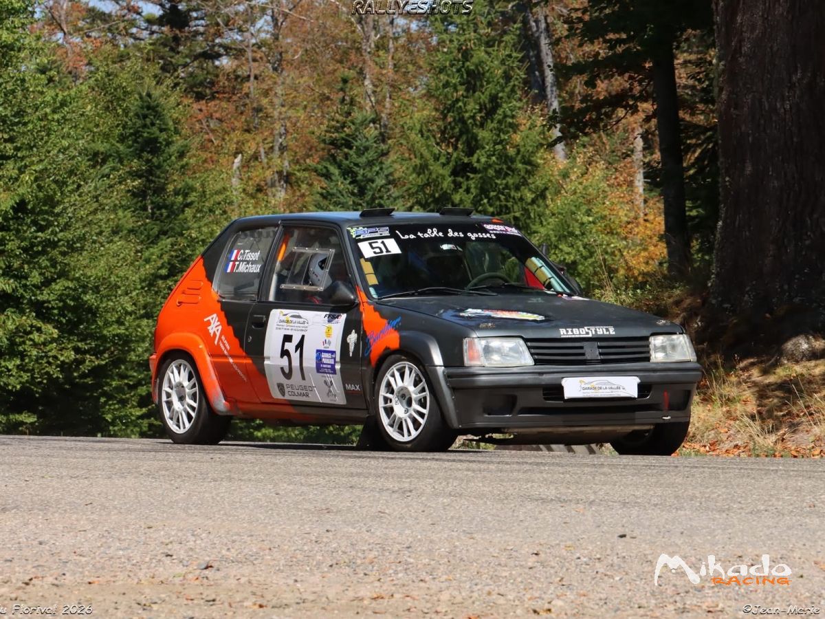 205 f2012 – photo 1 sur 4