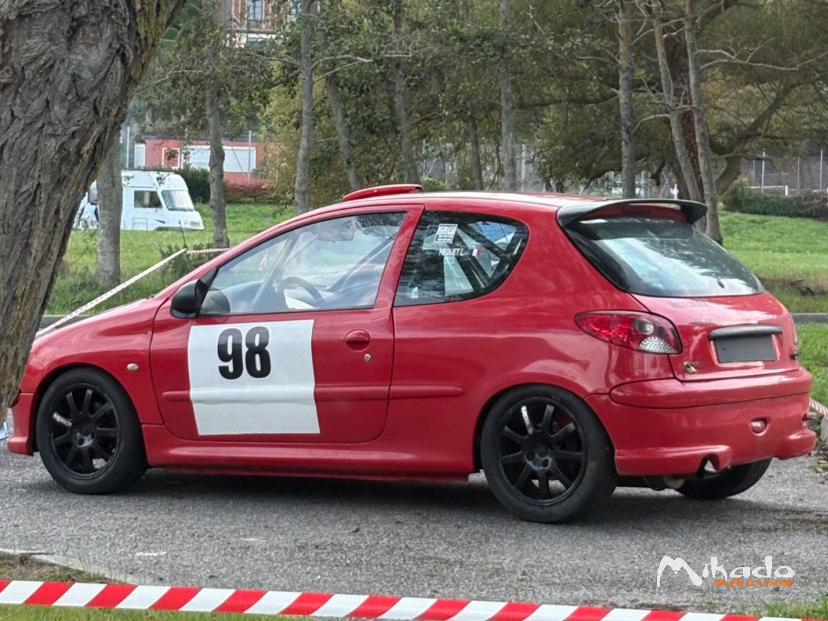 206 f2013 – photo 1 sur 2