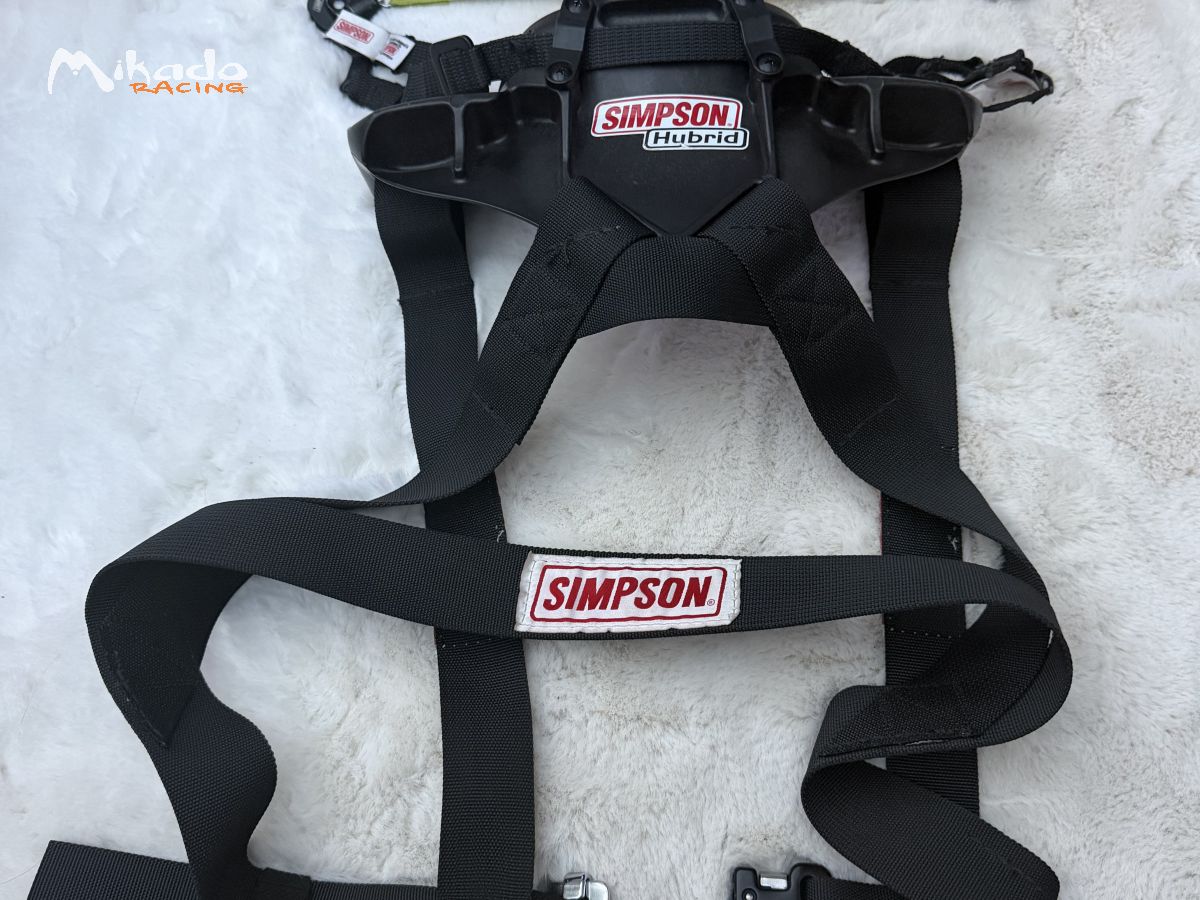 Hans hybrid – photo 1 sur 2