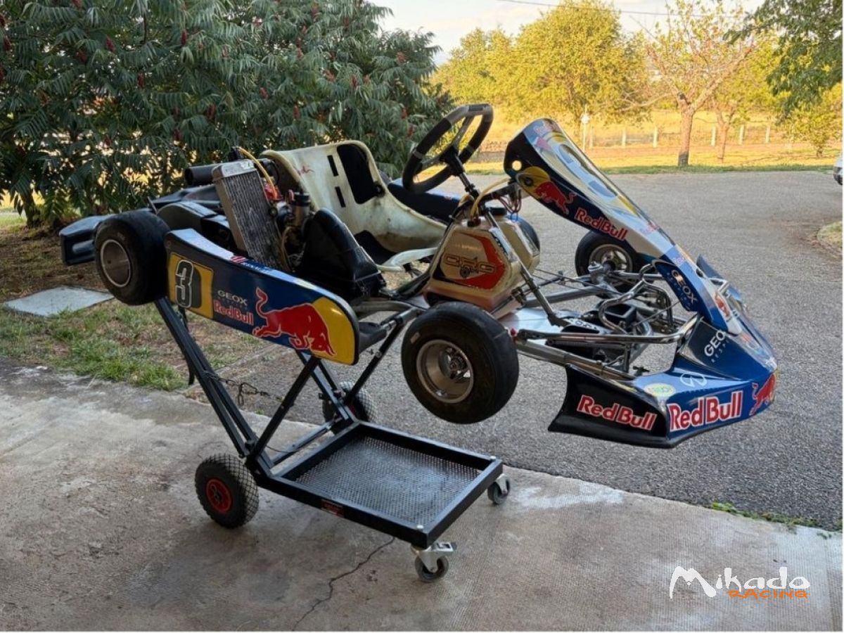 Karting Rotax Max cadet – photo 2 sur 3