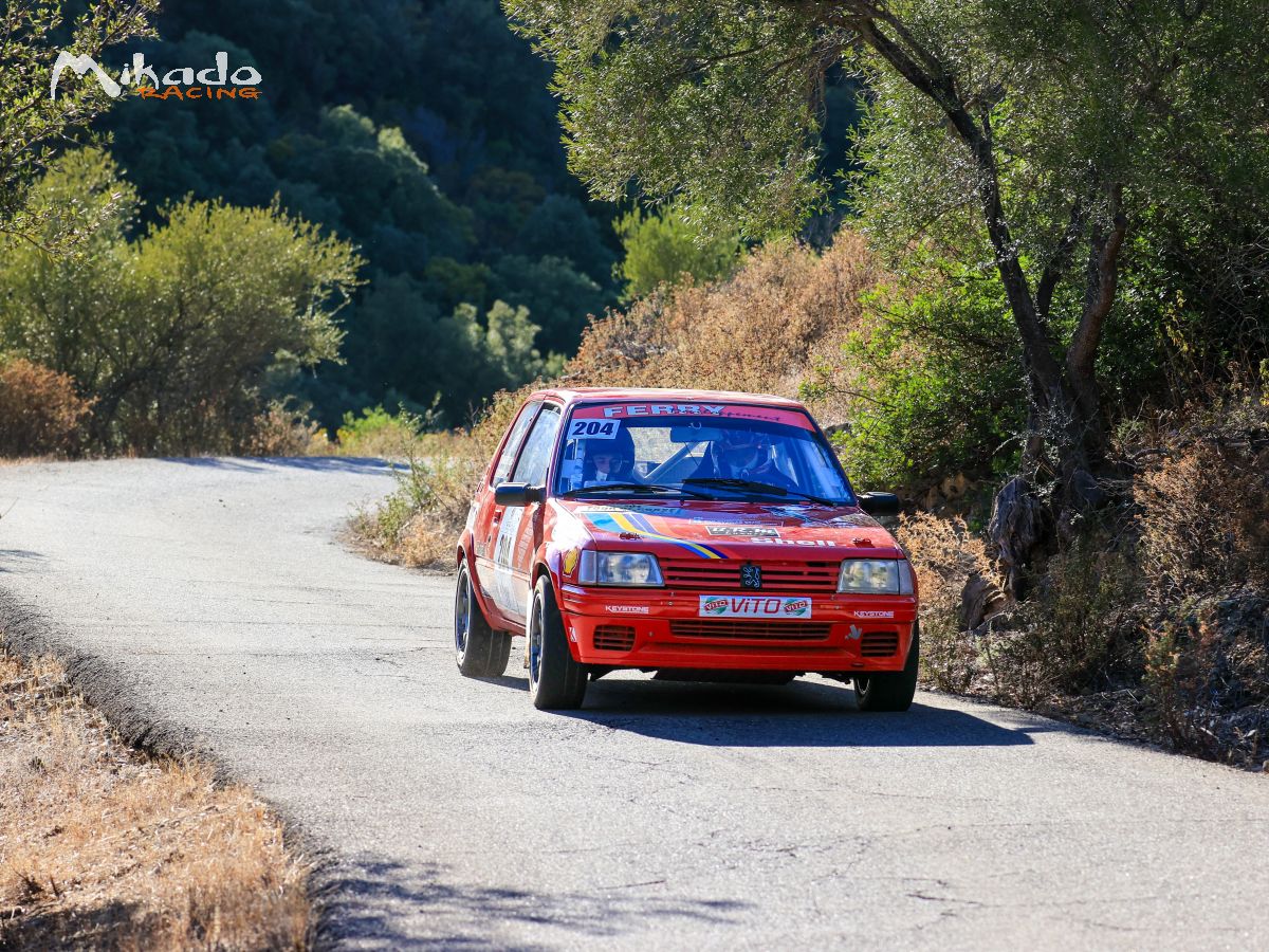205 Rallye groupe A – photo 4 sur 4
