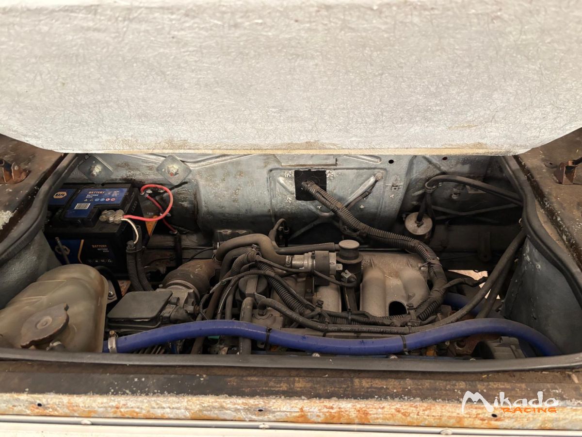 Talbot murena – photo 4 sur 4