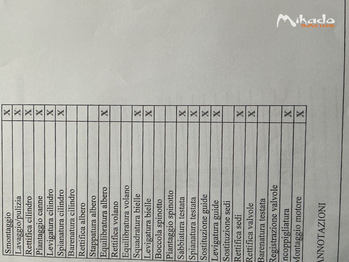 Maggiolino Fun cup – photo 3 sur 8