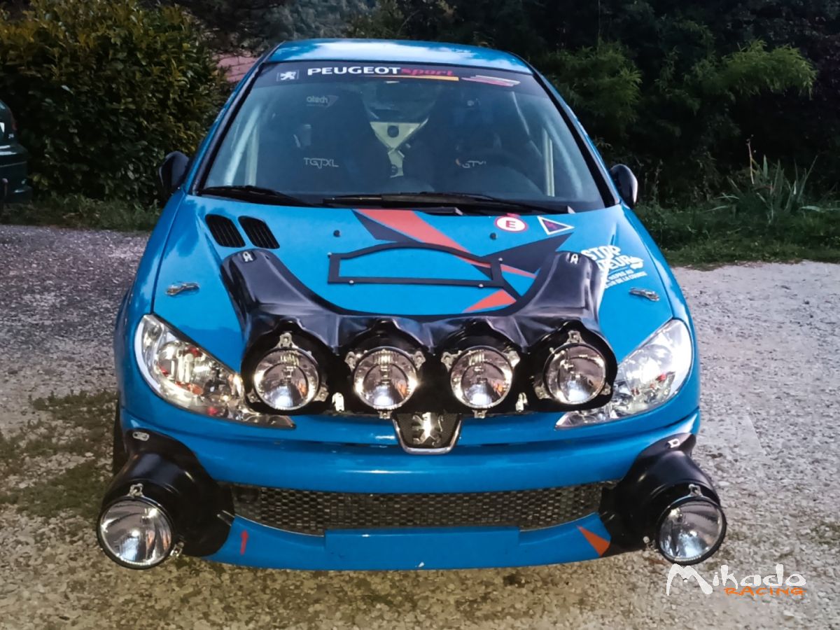 Peugeot 206RC N3 – photo 2 sur 2
