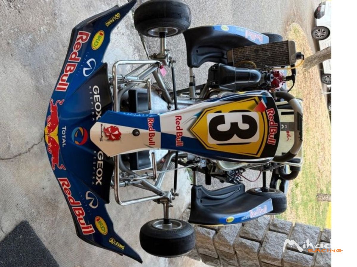 Karting Rotax Max cadet – photo 1 sur 3