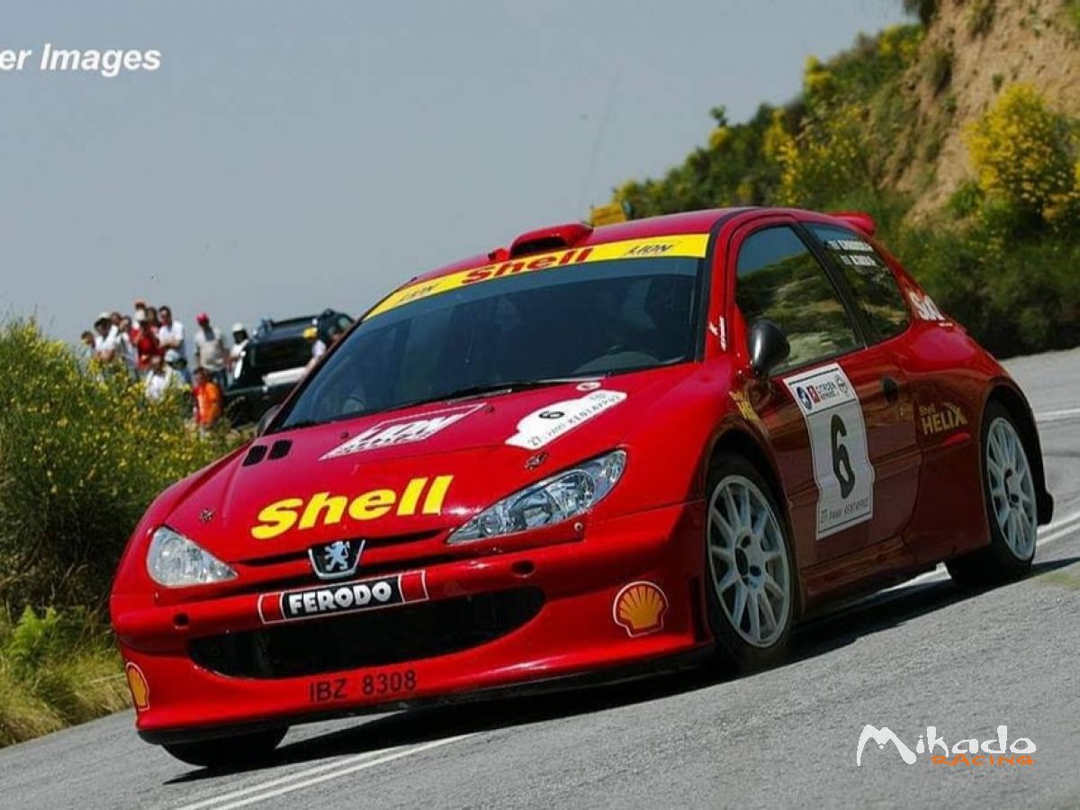 206 KIT CAR – photo 2 sur 7