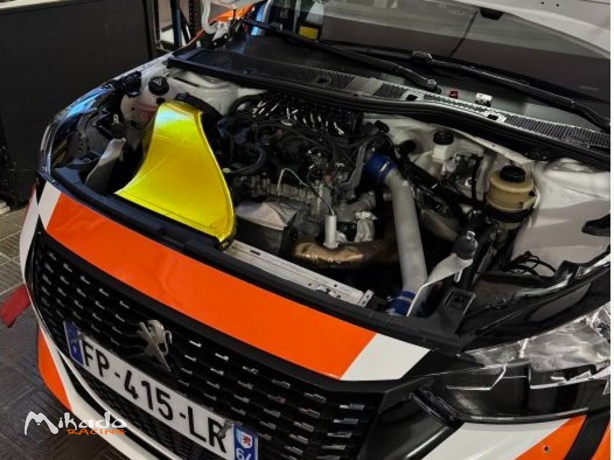 PEUGEOT 208 RALLY4 – photo 8 sur 9