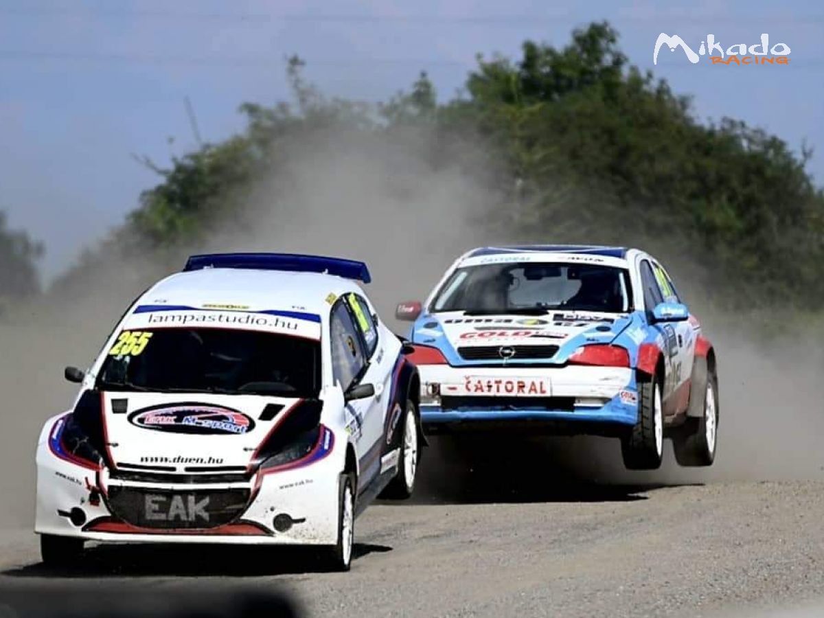 Peugeot 208 RX STC -2000 – photo 5 sur 10