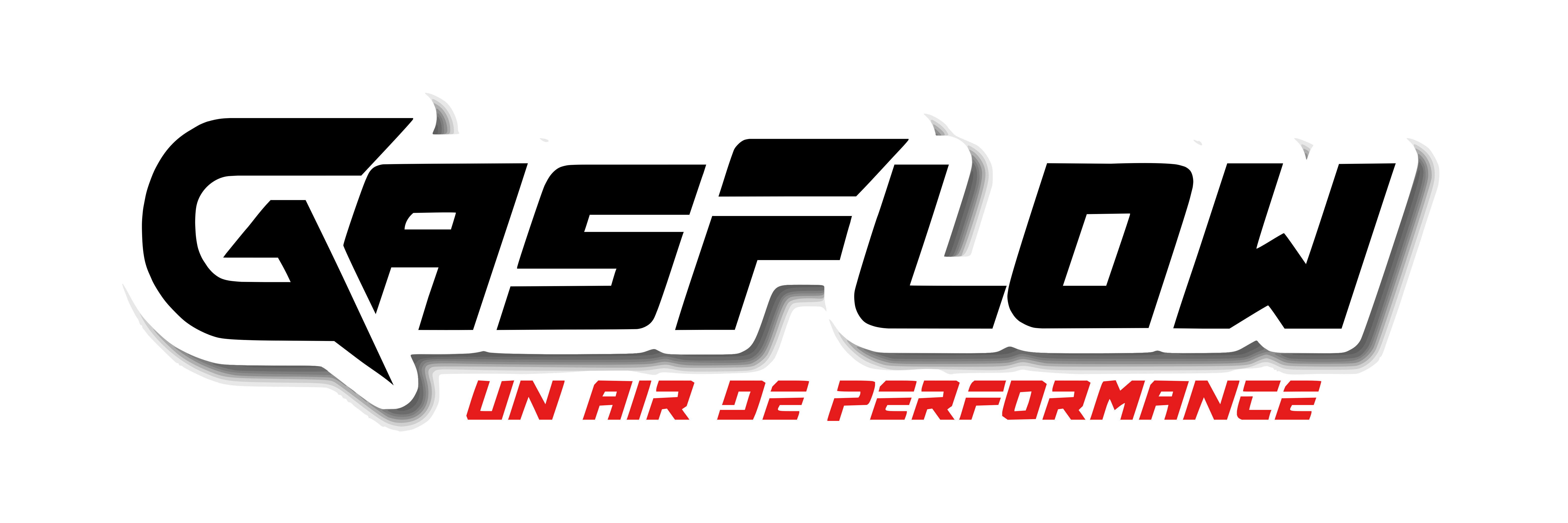 GASFLOW